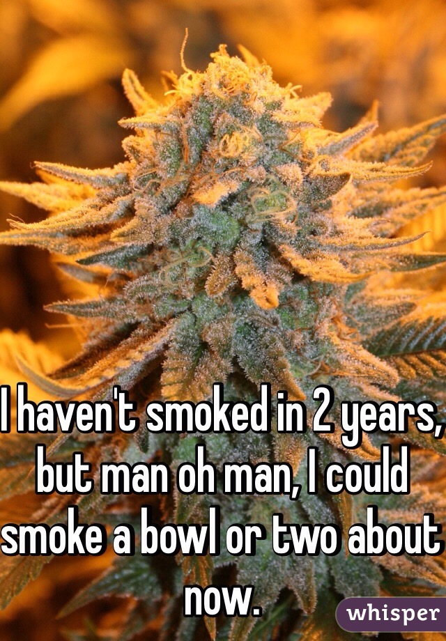 I haven't smoked in 2 years, but man oh man, I could smoke a bowl or two about now.