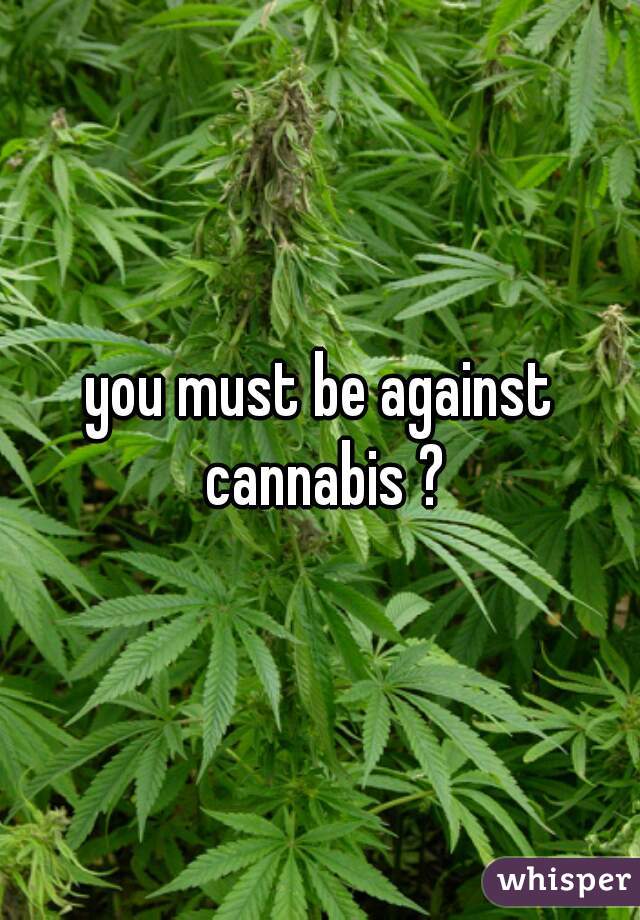 you must be against cannabis ?