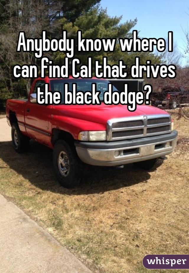 Anybody know where I can find Cal that drives the black dodge?