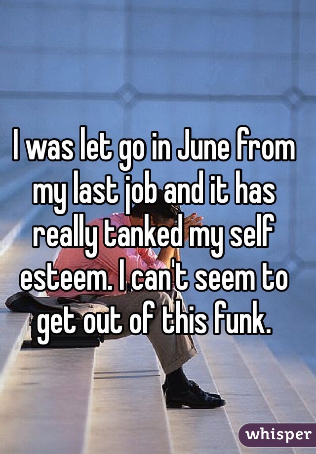 I was let go in June from my last job and it has really tanked my self esteem. I can't seem to get out of this funk.