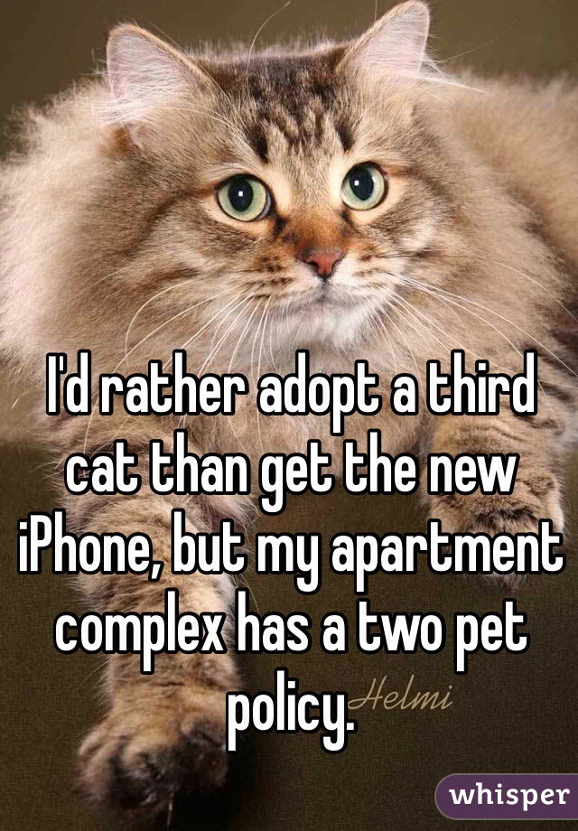 I'd rather adopt a third cat than get the new iPhone, but my apartment complex has a two pet policy.