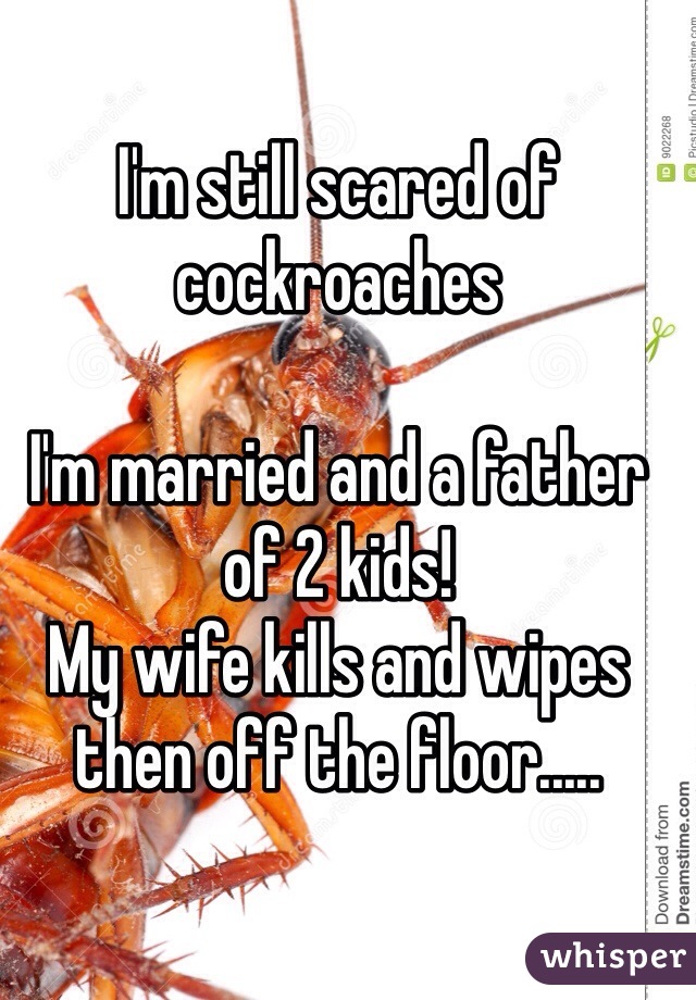 I'm still scared of cockroaches

I'm married and a father of 2 kids!
My wife kills and wipes then off the floor.....