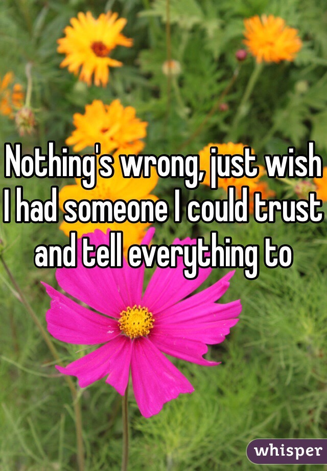 Nothing's wrong, just wish I had someone I could trust and tell everything to