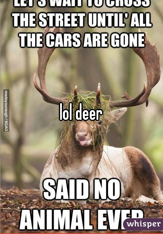 lol deer