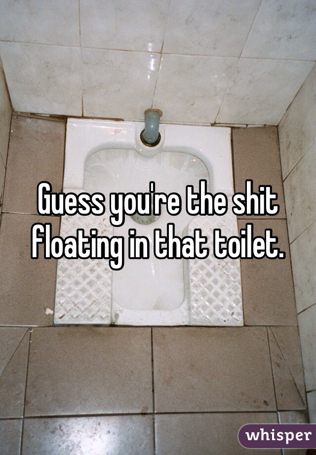 Guess you're the shit floating in that toilet.