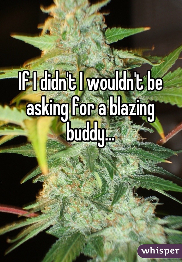 If I didn't I wouldn't be asking for a blazing buddy...