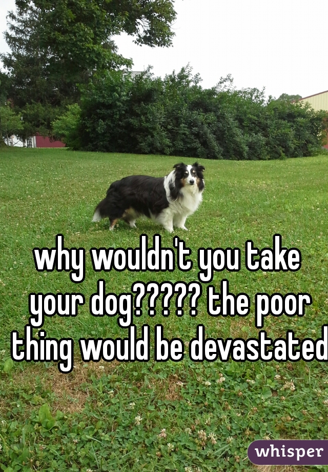 why wouldn't you take your dog????? the poor thing would be devastated!