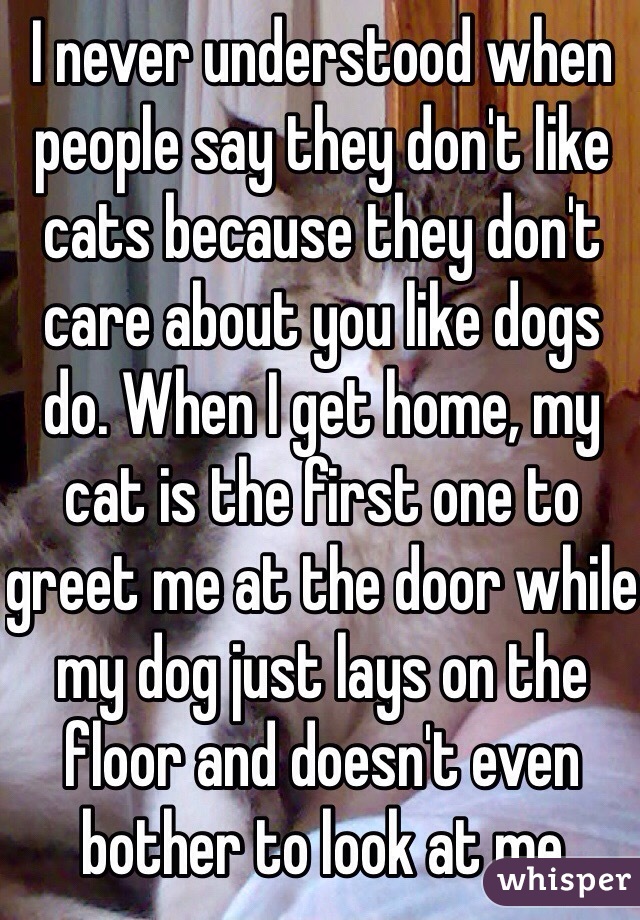 I never understood when people say they don't like cats because they don't care about you like dogs do. When I get home, my cat is the first one to greet me at the door while my dog just lays on the floor and doesn't even bother to look at me