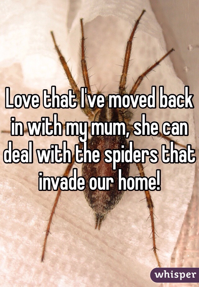 Love that I've moved back in with my mum, she can deal with the spiders that invade our home! 