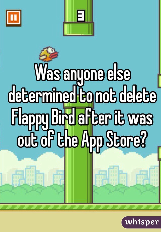 Was anyone else determined to not delete Flappy Bird after it was out of the App Store?