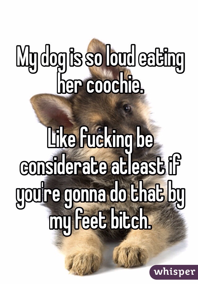 My dog is so loud eating her coochie.

Like fucking be considerate atleast if you're gonna do that by my feet bitch.