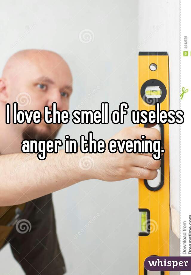 I love the smell of useless anger in the evening.  