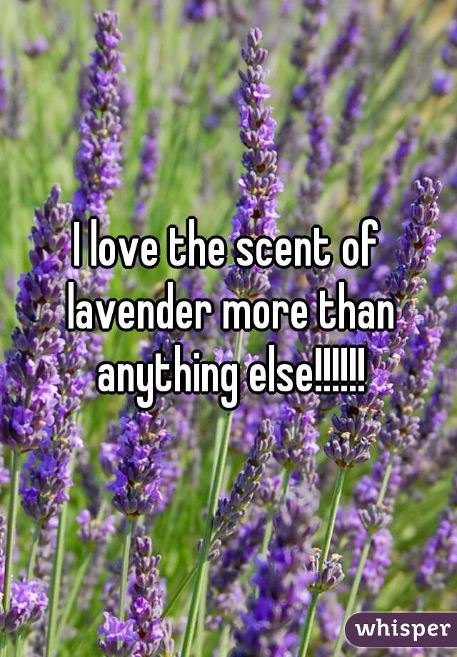 I love the scent of lavender more than anything else!!!!!!