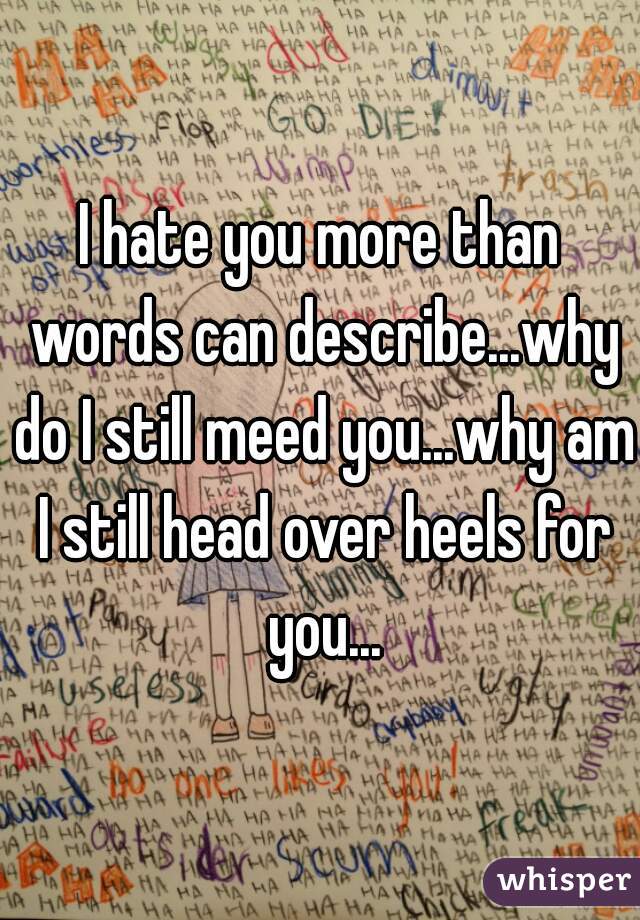 I hate you more than words can describe...why do I still meed you...why am I still head over heels for you...