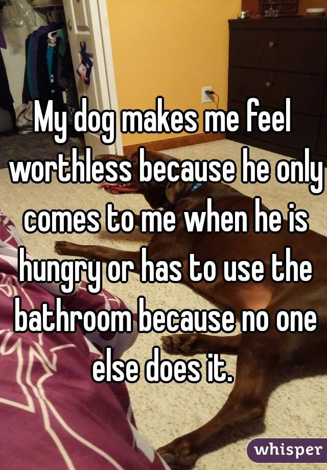 My dog makes me feel worthless because he only comes to me when he is hungry or has to use the bathroom because no one else does it. 