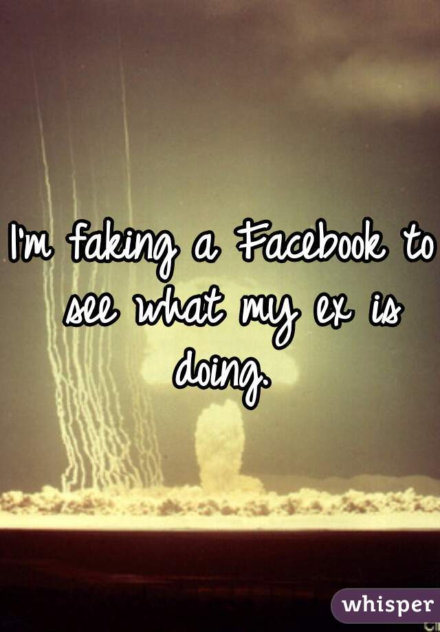 I'm faking a Facebook to see what my ex is doing. 