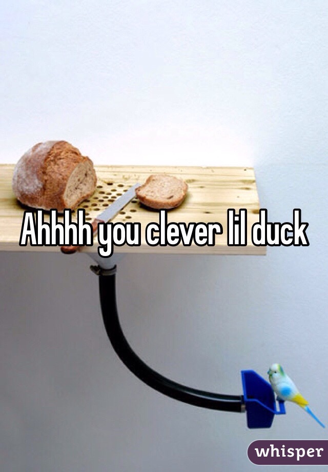 Ahhhh you clever lil duck