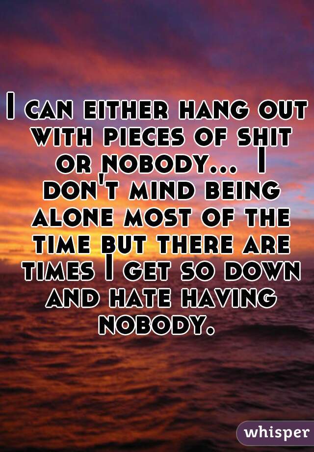 I can either hang out with pieces of shit or nobody...  I don't mind being alone most of the time but there are times I get so down and hate having nobody. 