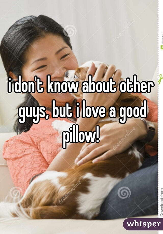 i don't know about other guys, but i love a good pillow! 