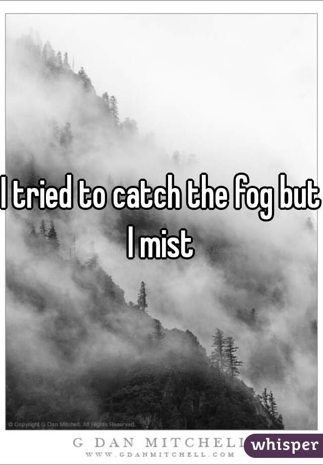 I tried to catch the fog but I mist 