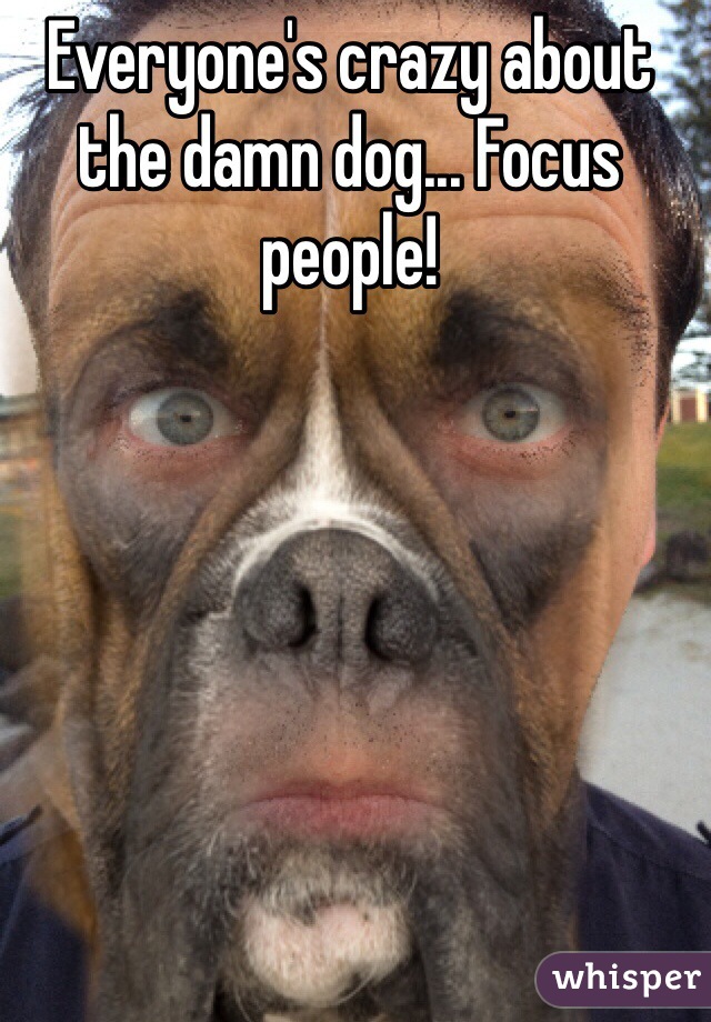 Everyone's crazy about the damn dog... Focus people!