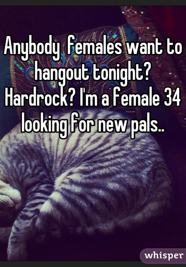 Anybody  females want to hangout tonight? Hardrock? I'm a female 34 looking for new pals..
