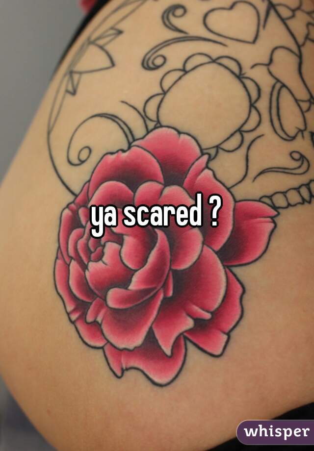 ya scared ?