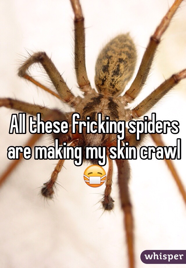 All these fricking spiders are making my skin crawl 😷