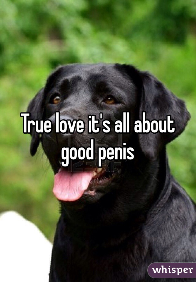 True love it's all about good penis
