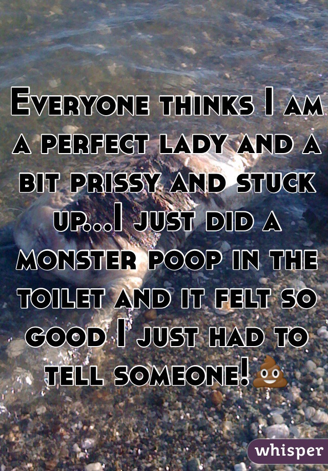 Everyone thinks I am a perfect lady and a bit prissy and stuck up...I just did a monster poop in the toilet and it felt so good I just had to tell someone!💩