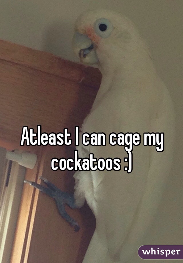 Atleast I can cage my cockatoos :)