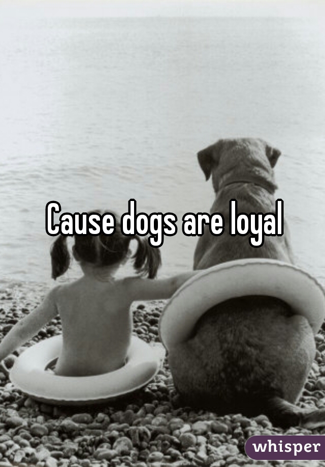  Cause dogs are loyal