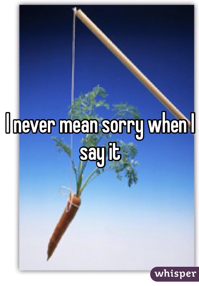 I never mean sorry when I say it
