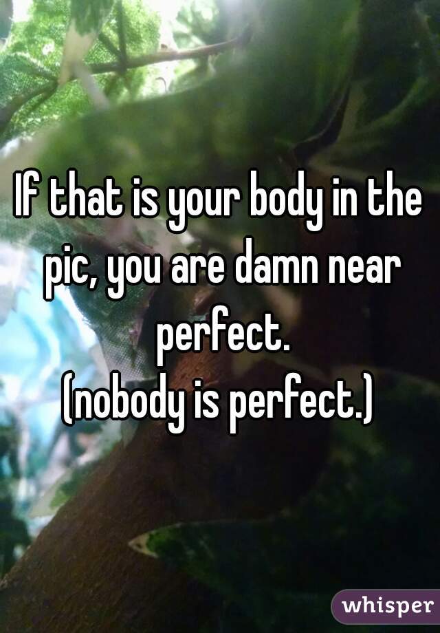 If that is your body in the pic, you are damn near perfect.
(nobody is perfect.)