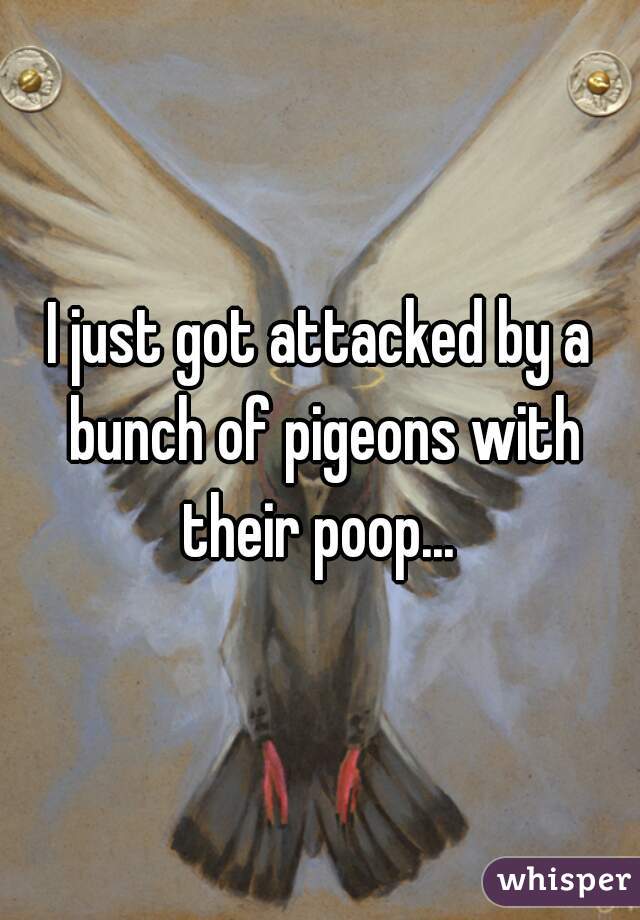 I just got attacked by a bunch of pigeons with their poop... 