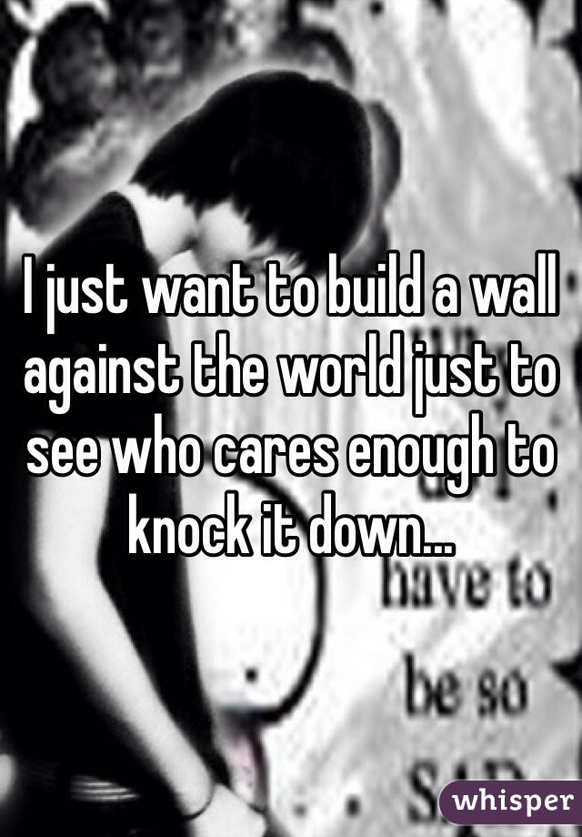 I just want to build a wall against the world just to see who cares enough to knock it down...