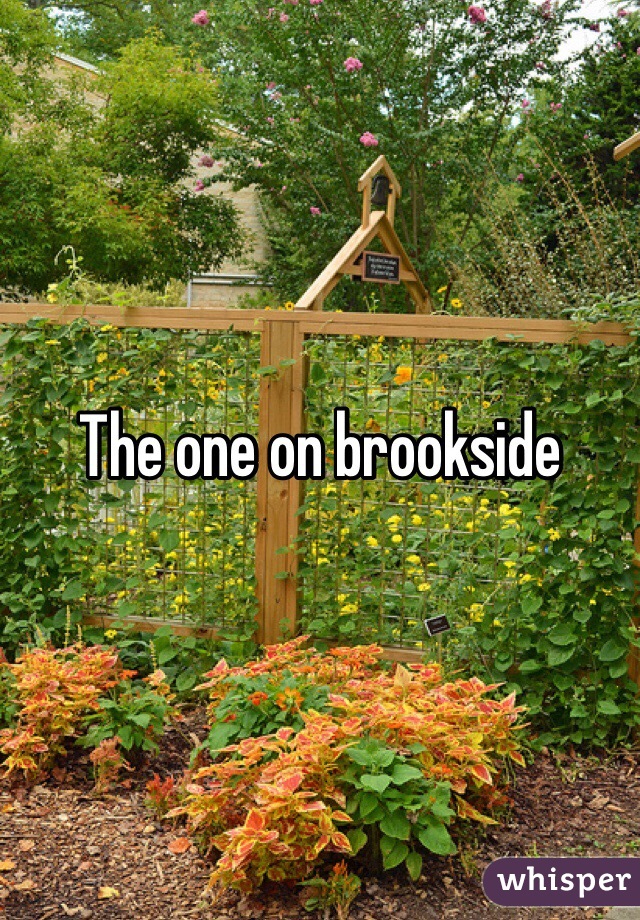The one on brookside 