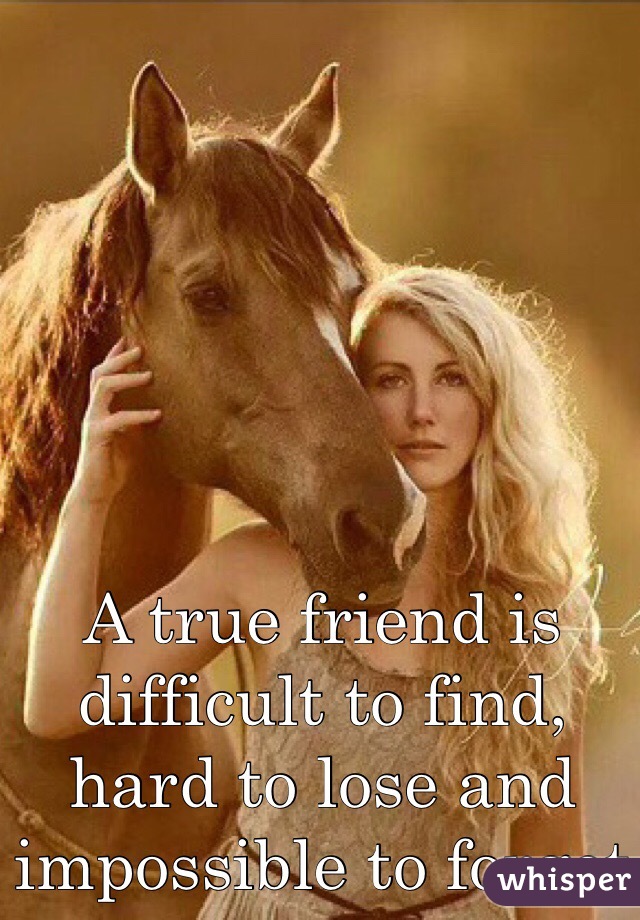 A true friend is difficult to find, hard to lose and impossible to forget