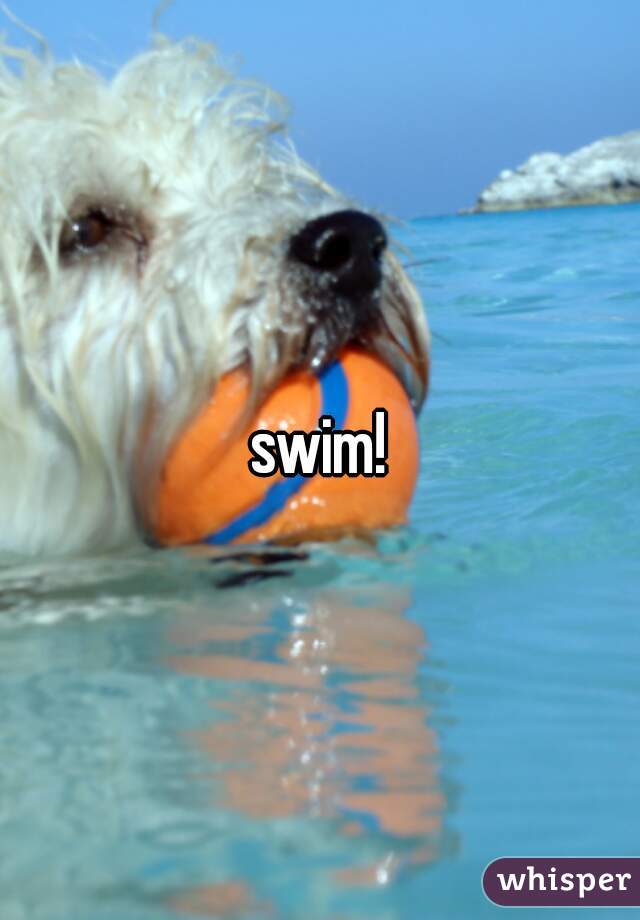 swim!