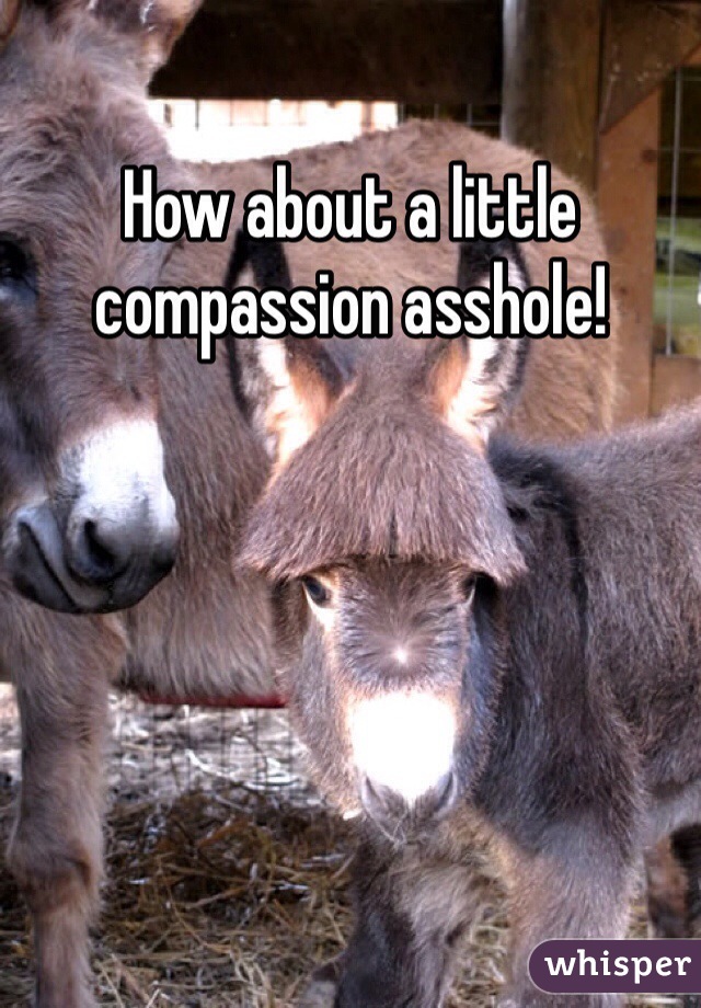 How about a little compassion asshole!