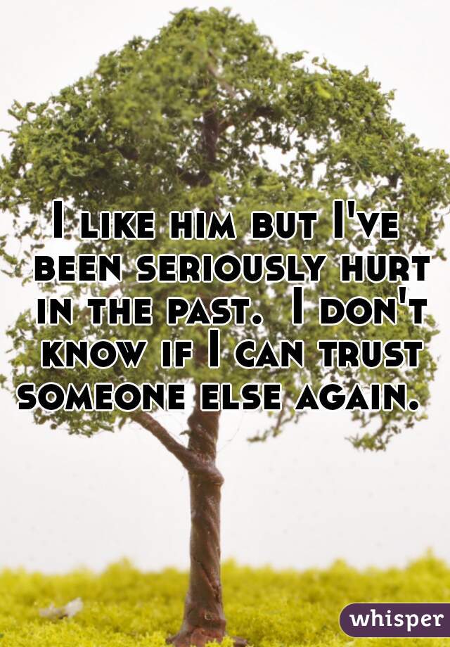 I like him but I've been seriously hurt in the past.  I don't know if I can trust someone else again.  