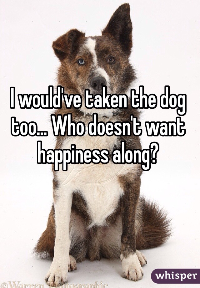 I would've taken the dog too... Who doesn't want happiness along?
