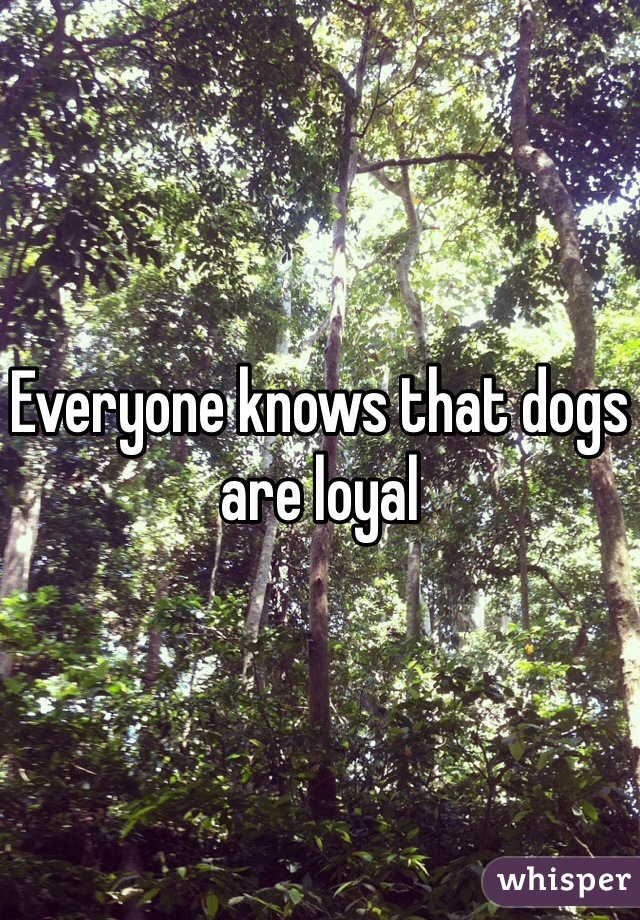 Everyone knows that dogs are loyal
