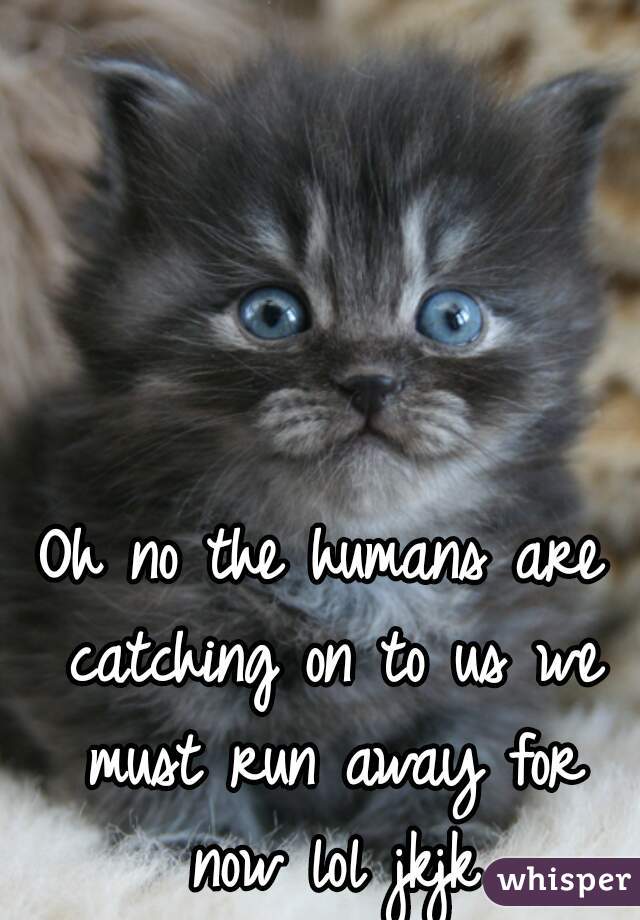 Oh no the humans are catching on to us we must run away for now lol jkjk