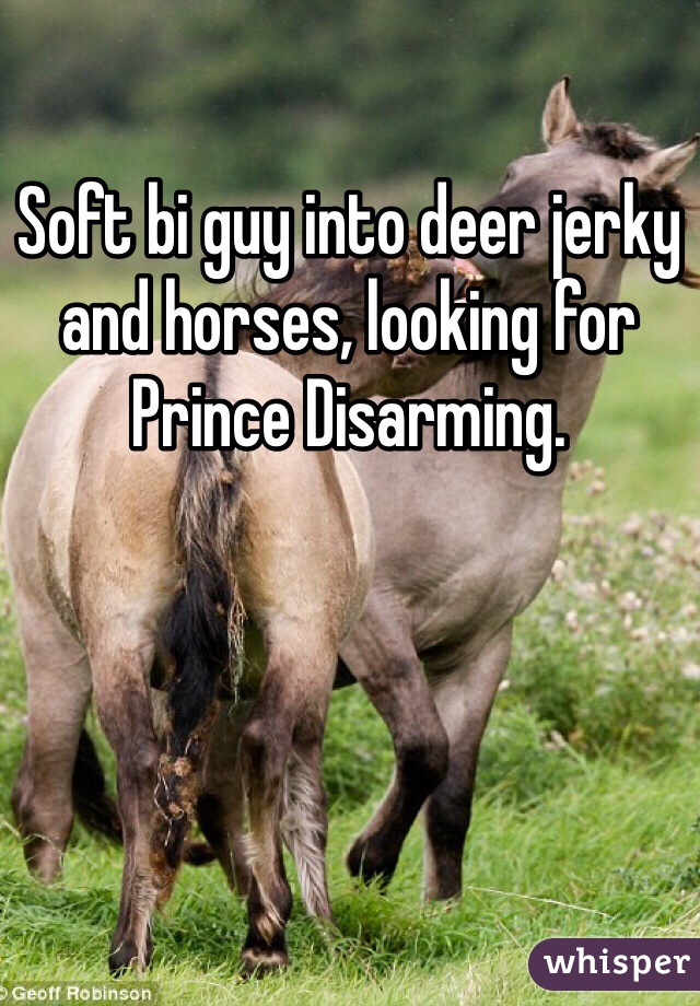 Soft bi guy into deer jerky and horses, looking for Prince Disarming.