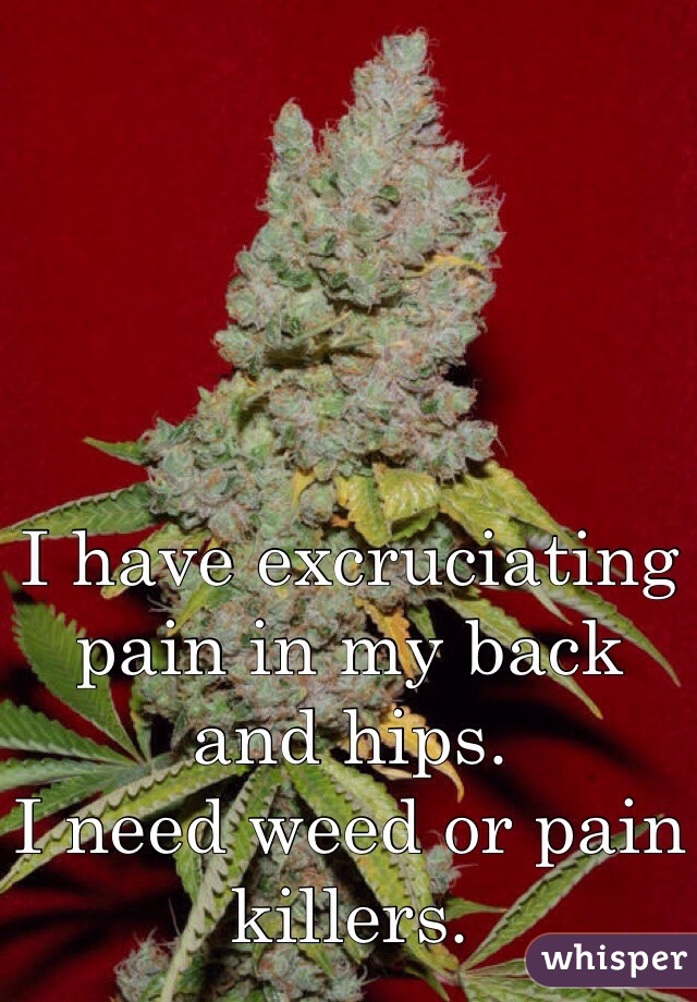 I have excruciating pain in my back and hips. 
I need weed or pain killers. 