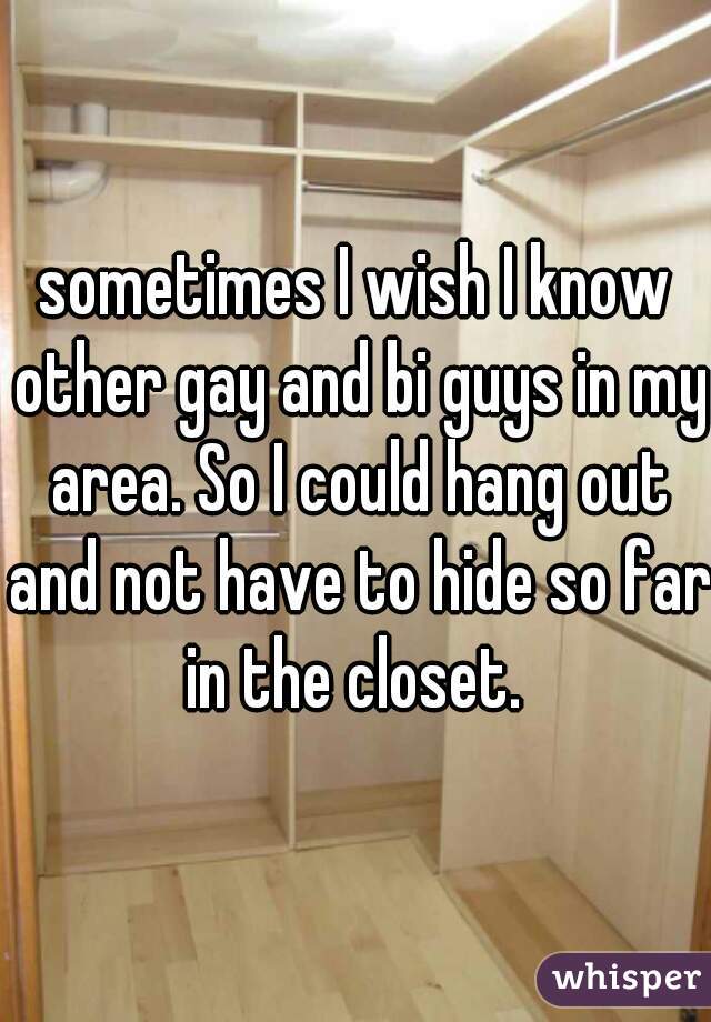 sometimes I wish I know other gay and bi guys in my area. So I could hang out and not have to hide so far in the closet. 