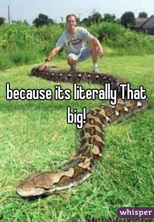 because its literally That big! 