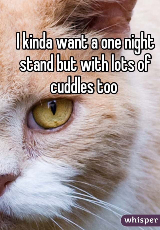 I kinda want a one night stand but with lots of cuddles too 