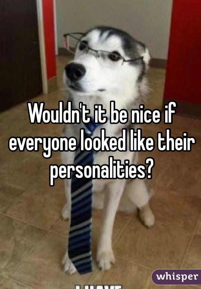 Wouldn't it be nice if everyone looked like their personalities?